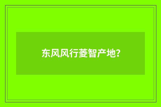 东风风行菱智产地?