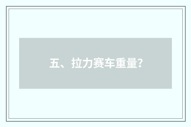 五、拉力赛车重量?