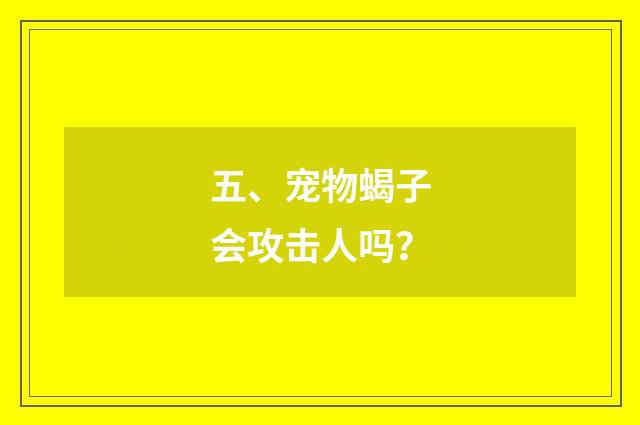 五、宠物蝎子会攻击人吗?