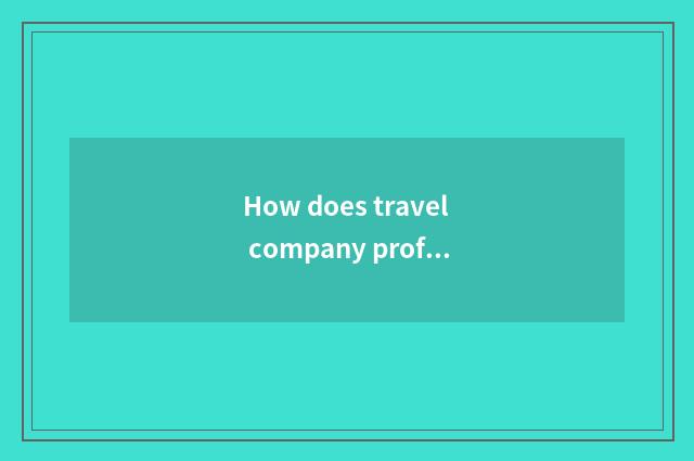 How does travel company profit?