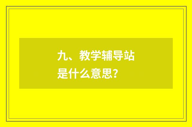 九、教学辅导站是什么意思？