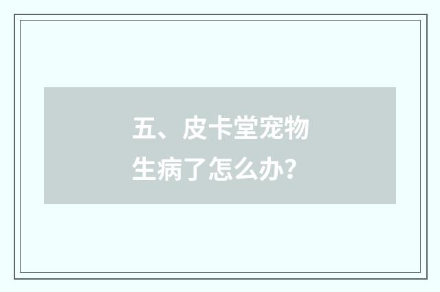 五、皮卡堂宠物生病了怎么办?