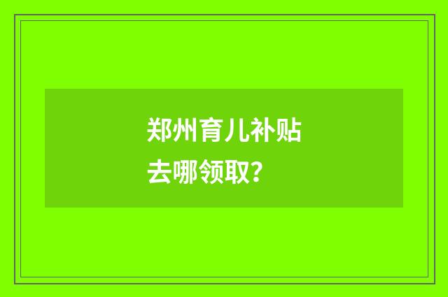 郑州育儿补贴去哪领取?