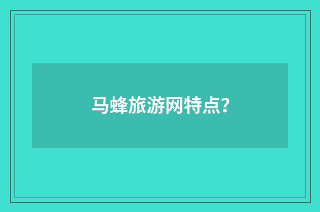 马蜂旅游网特点?