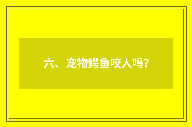 六、宠物鳄鱼咬人吗?