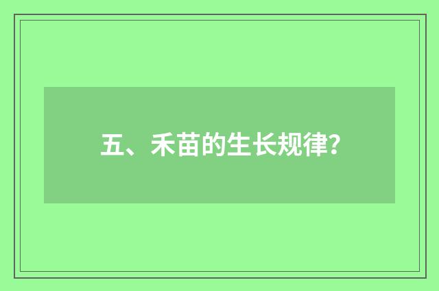 五、禾苗的生长规律?