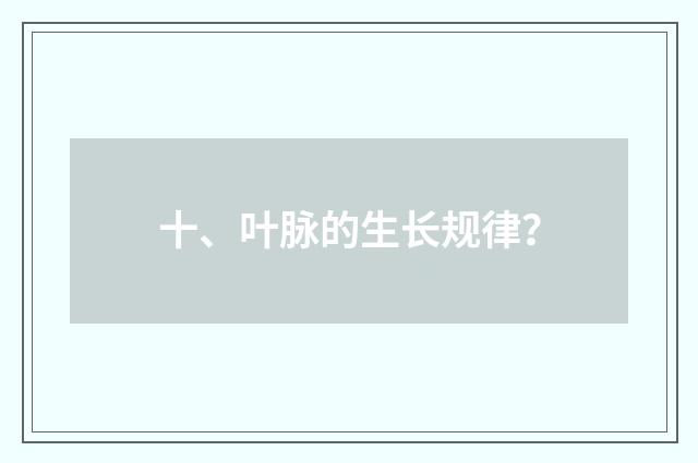 十、叶脉的生长规律?