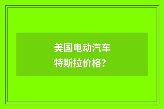 美国电动汽车特斯拉价格？