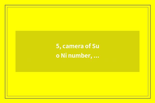 5, camera of Suo Ni number, computer connection?