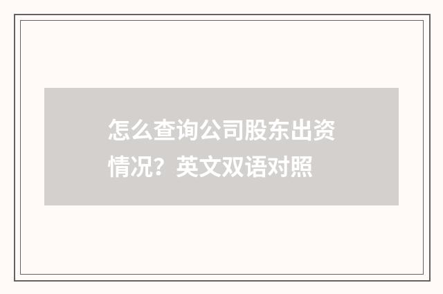 怎么查询公司股东出资情况?英文双语对照