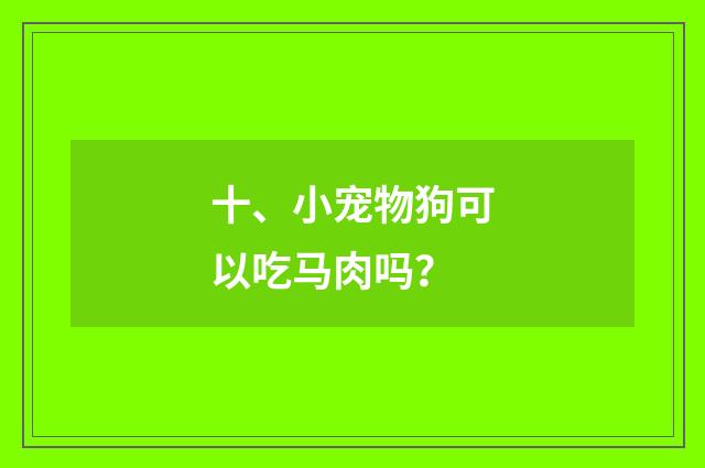 十、小宠物狗可以吃马肉吗?