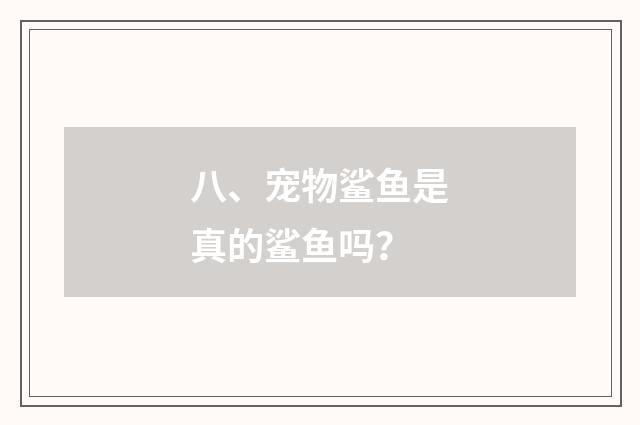八、宠物鲨鱼是真的鲨鱼吗?