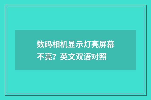 数码相机显示灯亮屏幕不亮?英文双语对照