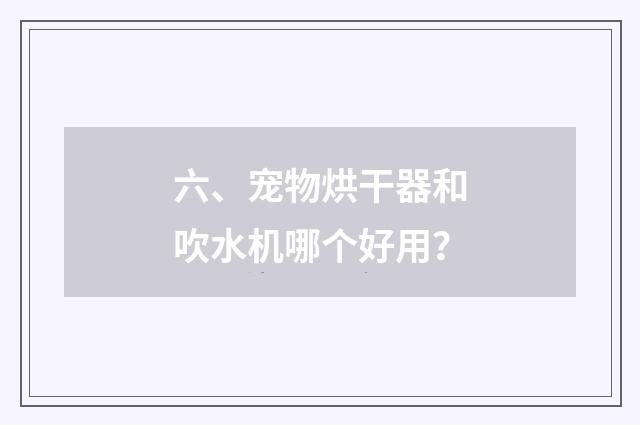 六、宠物烘干器和吹水机哪个好用？