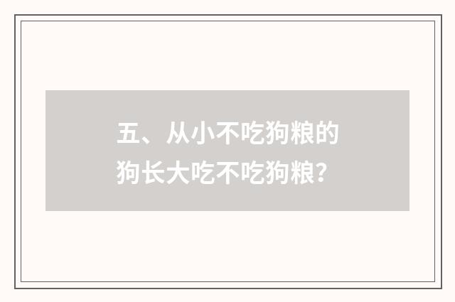 五、从小不吃狗粮的狗长大吃不吃狗粮？