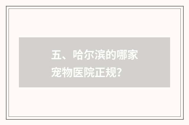 五、哈尔滨的哪家宠物医院正规?
