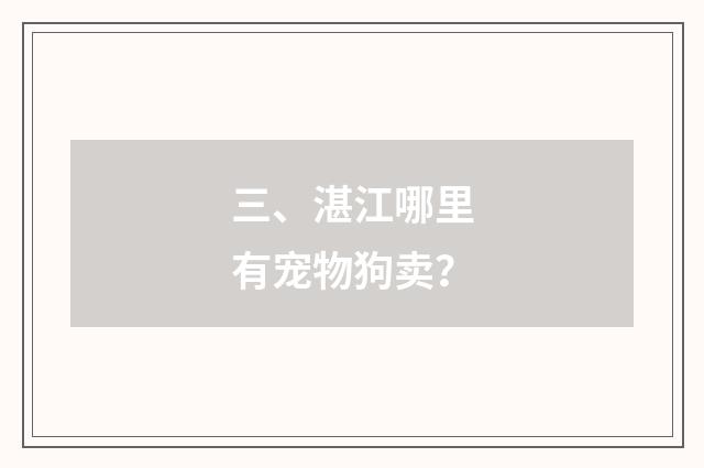 三、湛江哪里有宠物狗卖?