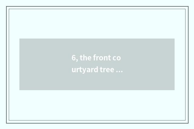 6, the front courtyard tree of pet elf, what spirit does leading role have?