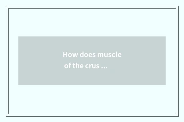 How does muscle of the crus in fitness take exercise?