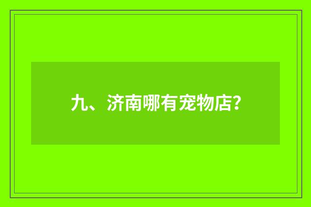 九、济南哪有宠物店？