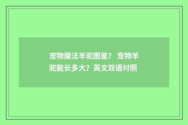 宠物魔法羊驼图鉴? 宠物羊驼能长多大?英文双语对照
