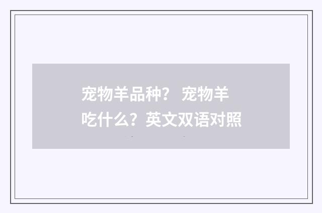 宠物羊品种？ 宠物羊吃什么？英文双语对照