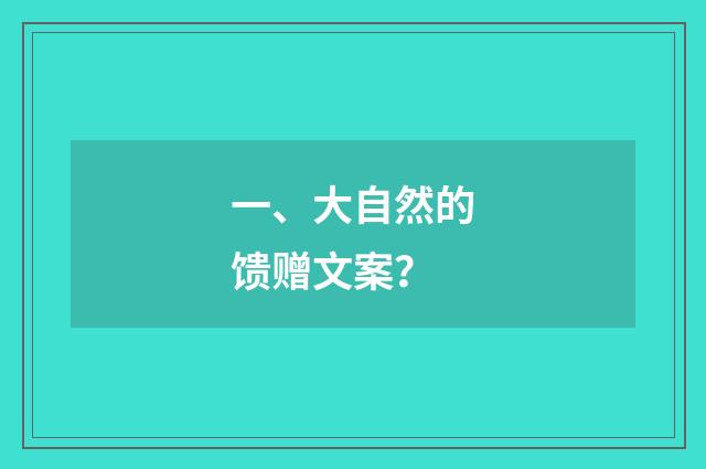一、大自然的馈赠文案?