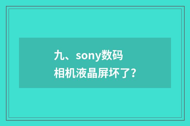 九、sony数码相机液晶屏坏了？