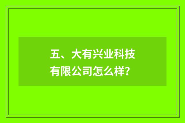 五、大有兴业科技有限公司怎么样?