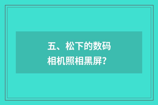 五、松下的数码相机照相黑屏？