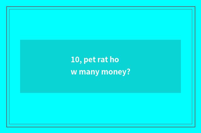 10, pet rat how many money?