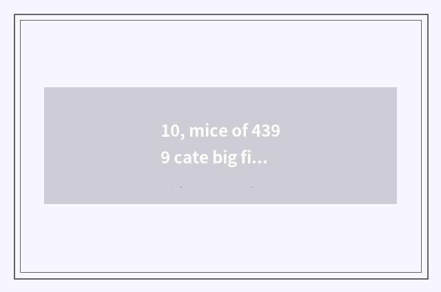 10, mice of 4399 cate big fight sealed 10 years, can you solve seal?