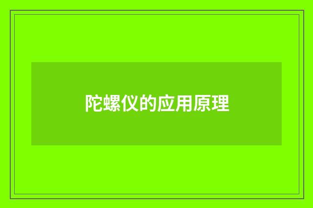 陀螺仪的应用原理