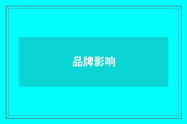 品牌影响