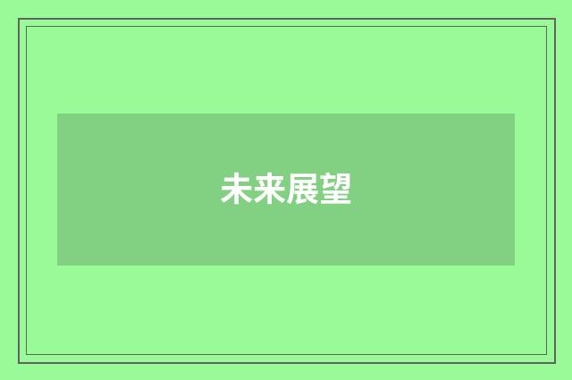 未来展望