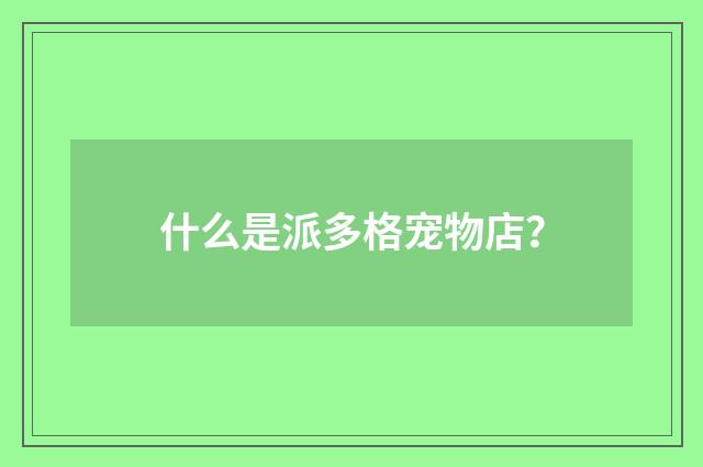 什么是派多格宠物店？