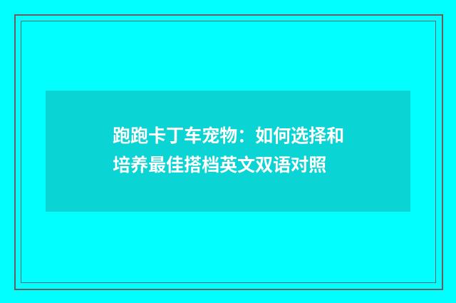 跑跑卡丁车宠物：如何选择和培养最佳搭档英文双语对照