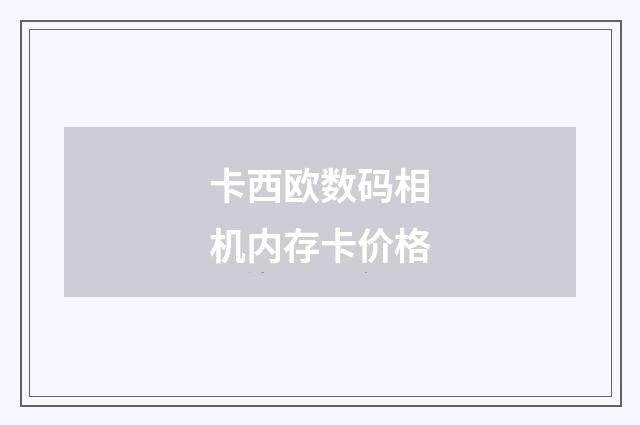卡西欧数码相机内存卡价格
