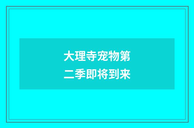 大理寺宠物第二季即将到来