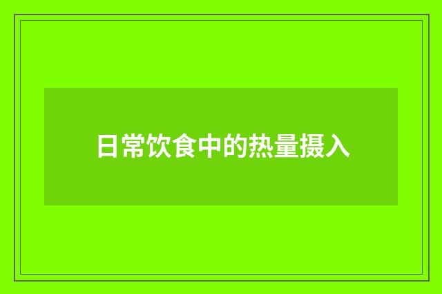 日常饮食中的热量摄入
