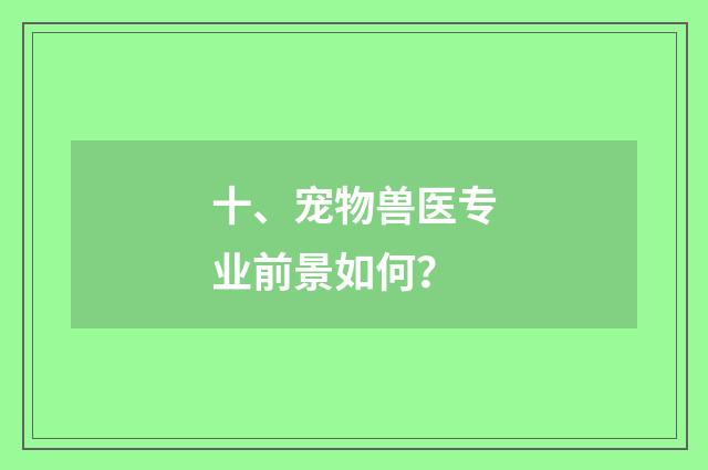 十、宠物兽医专业前景如何?
