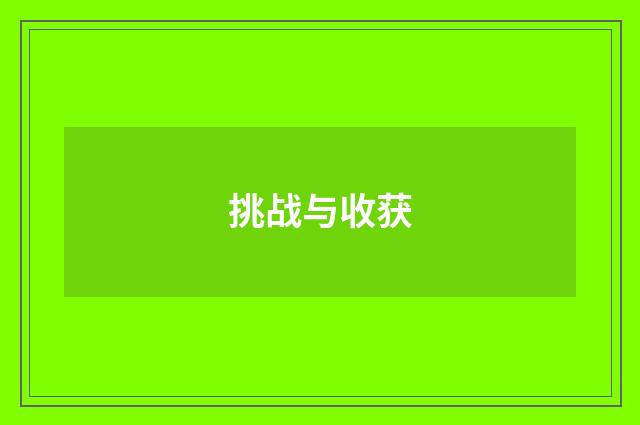 挑战与收获