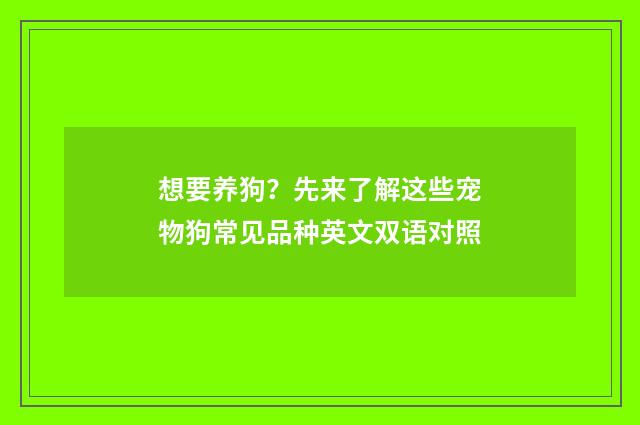 想要养狗？先来了解这些宠物狗常见品种英文双语对照