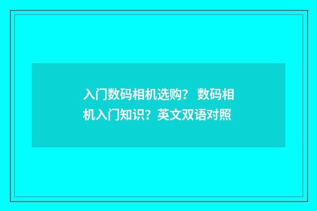 入门数码相机选购? 数码相机入门知识?英文双语对照