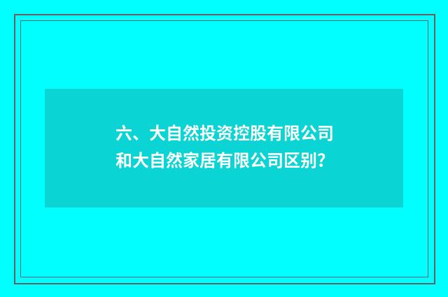 六、大自然投资控股有限公司和大自然家居有限公司区别?