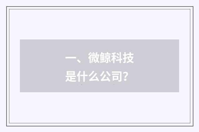 一、微鲸科技是什么公司?