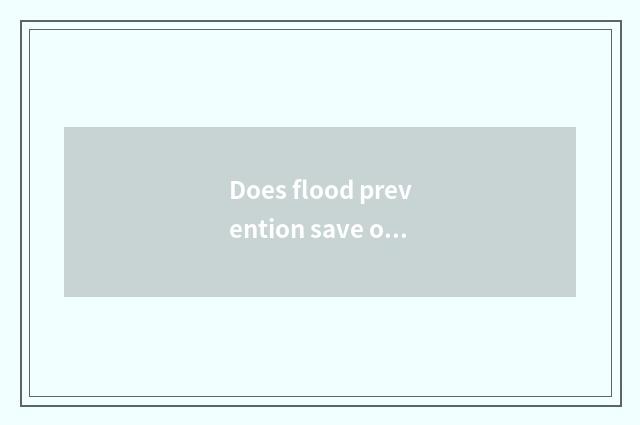 Does flood prevention save oneself little common sense and answer?