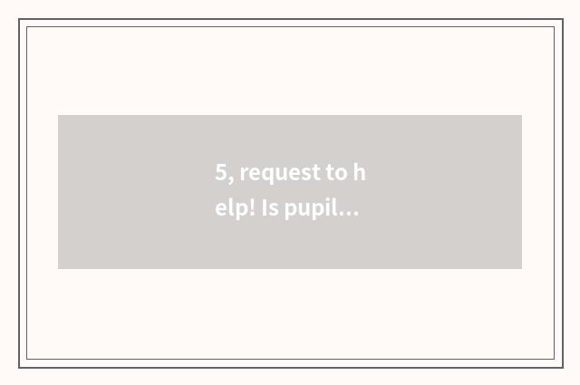 5, request to help! Is pupil indoor and interactive little game?