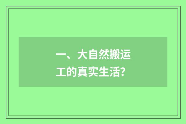 一、大自然搬运工的真实生活?