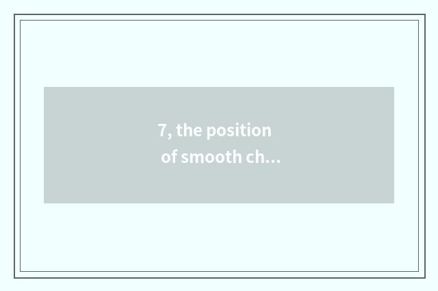 7, the position of smooth chip of smooth fast science and technology?